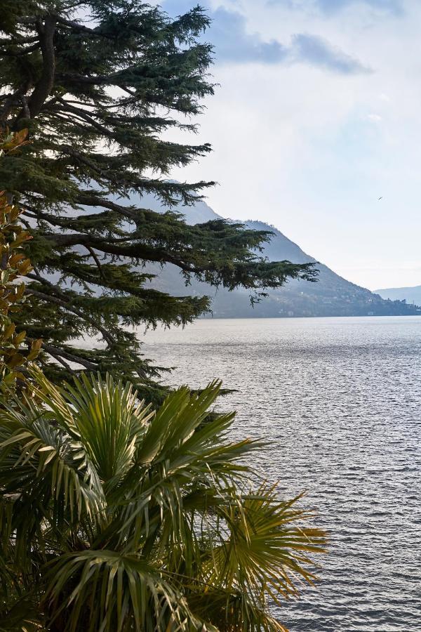 Villa Lario Lake Como Pognana Lario Экстерьер фото